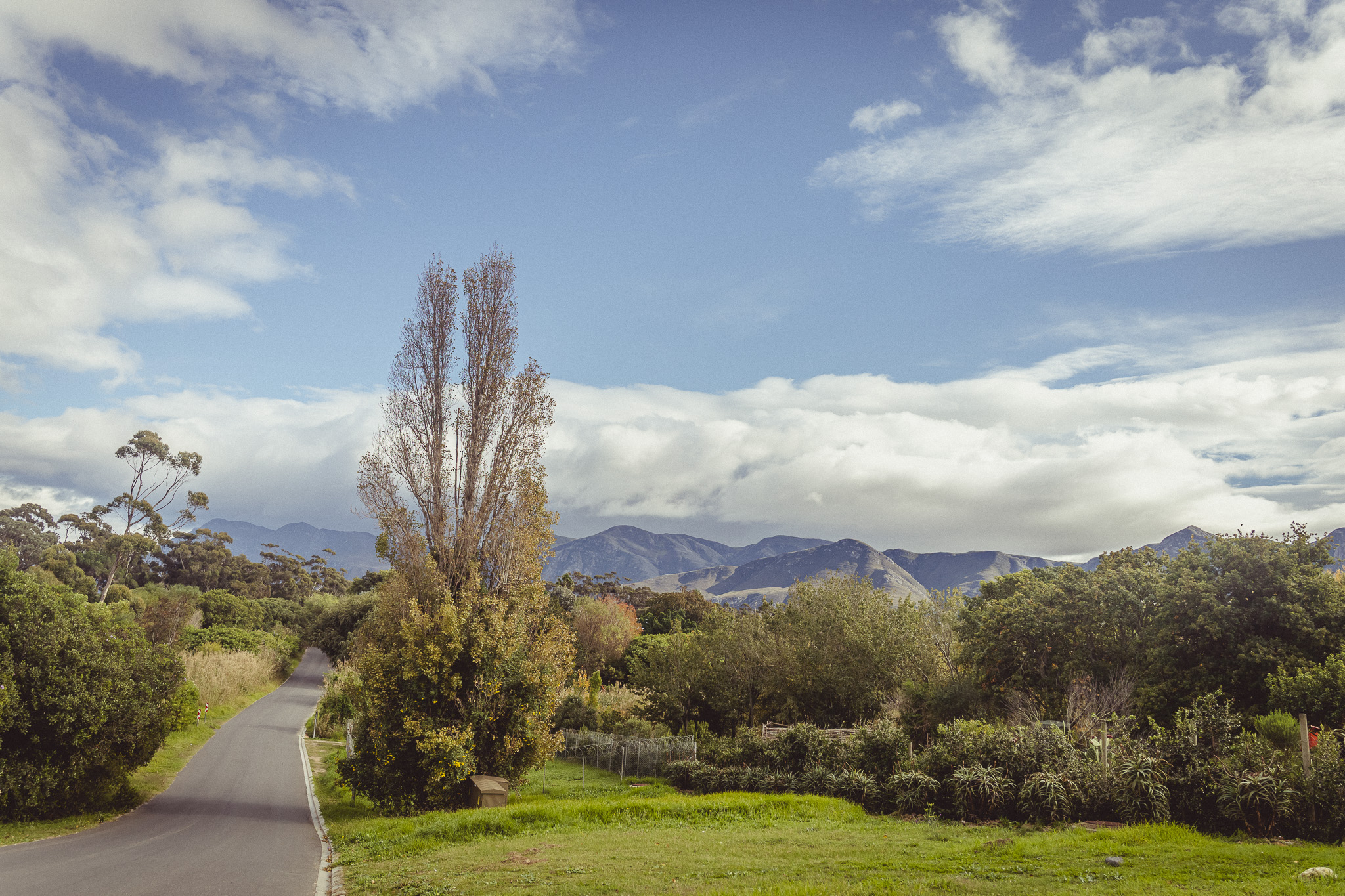 Wellington, Stanford, Hermanus